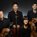 Avalon String Quartet