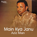 Aziz Mian