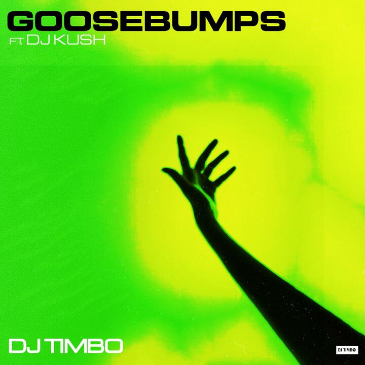 DJ Timbo