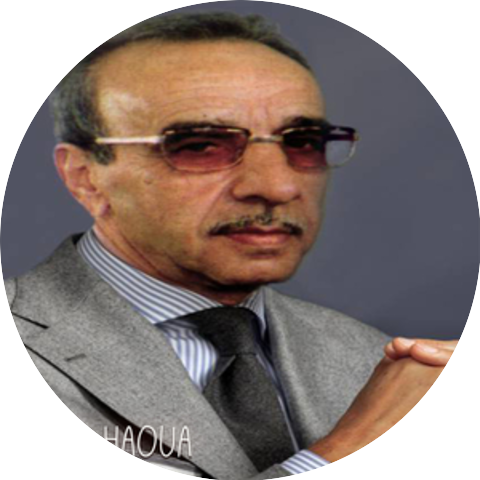 Boudjemaa El Ankis