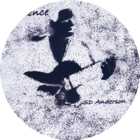 Stephen D. Anderson
