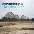 Springintgut