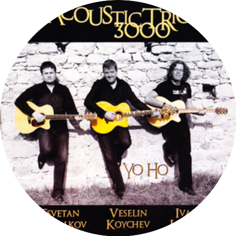 Acoustic Trio 3000
