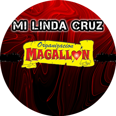 Organización Magallon