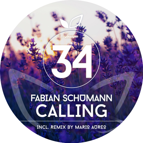 Fabian Schumann