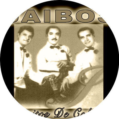 Los Jaibos