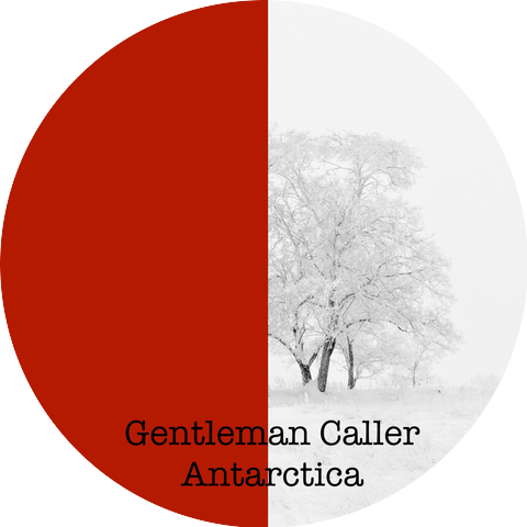 Gentleman Caller