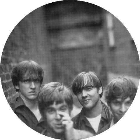 The Mayflies USA