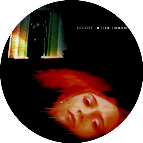 Secret Life of Machines