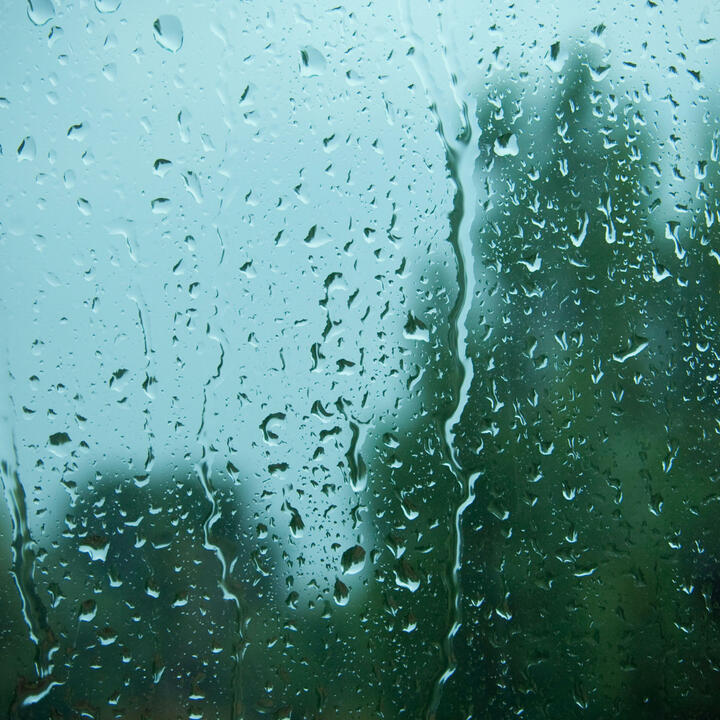 Weird Summer