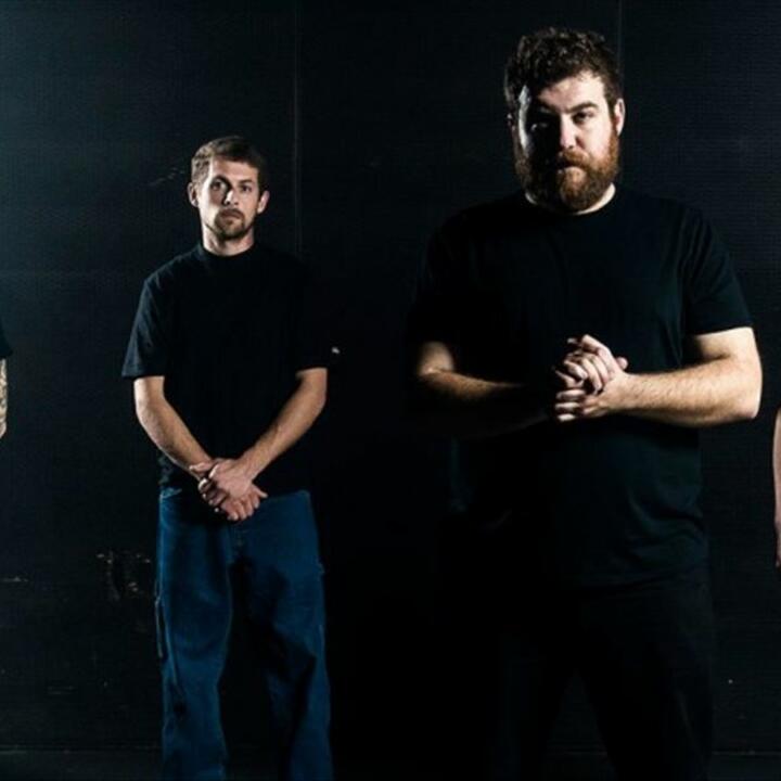 Lionize