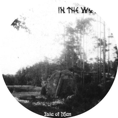 In the Woods...