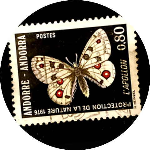 De Kift
