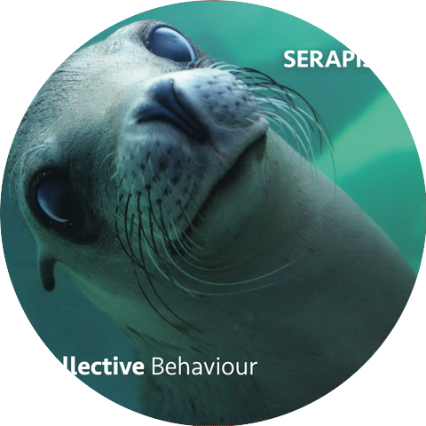 Serapis