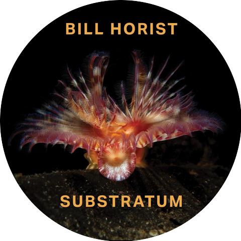 Bill Horist