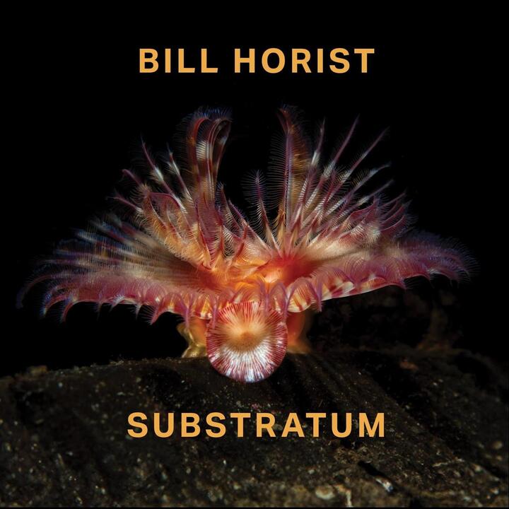 Bill Horist