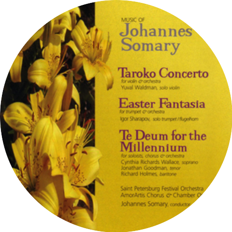 Saint Petersburg Festival Orchestra