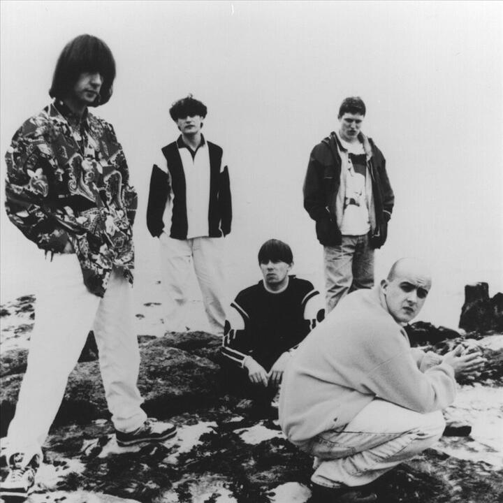 Inspiral Carpets