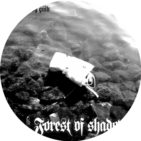 Forest of Shadows