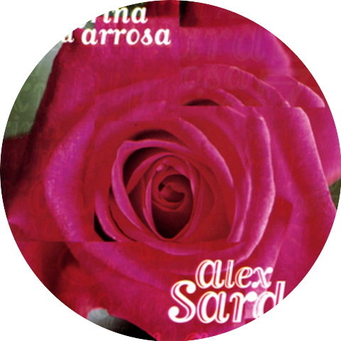 Alex Sardui