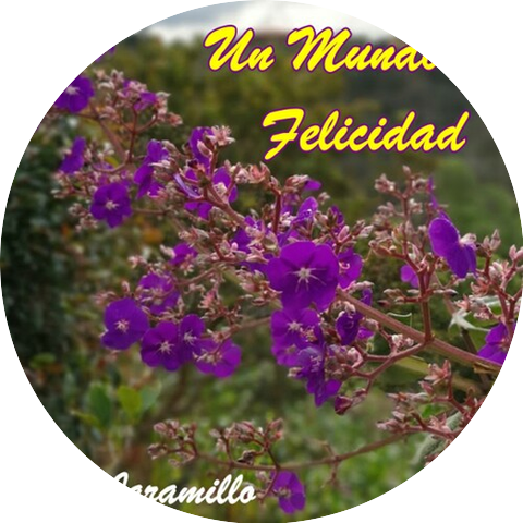 Pepé Jaramillo