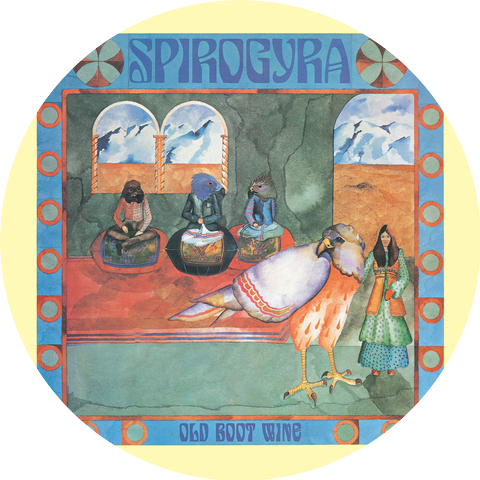 Spirogyra
