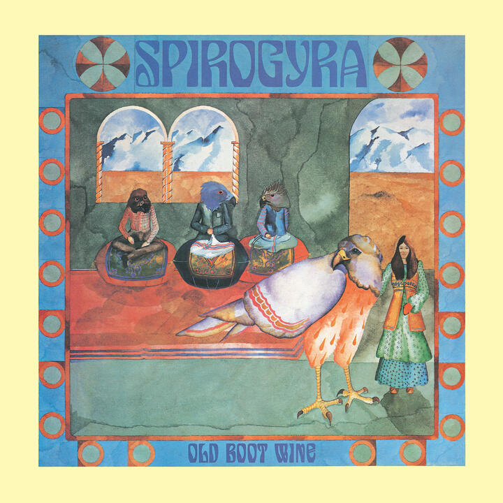 Spirogyra