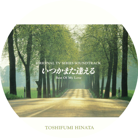 Toshifumi Hinata
