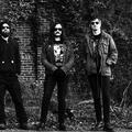 Mammoth Grinder
