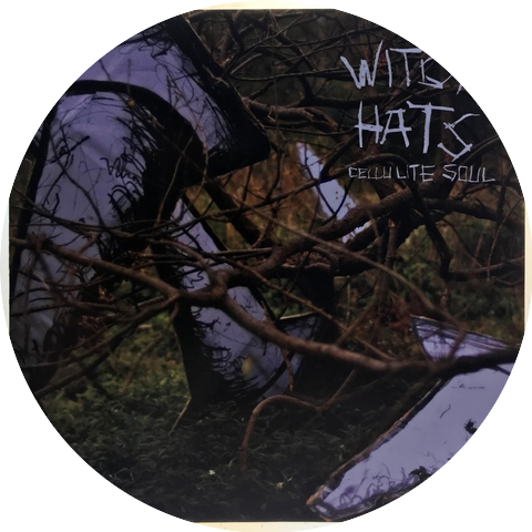 Witch Hats