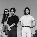 Beach Fossils