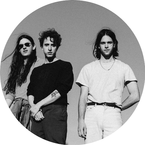 Beach Fossils