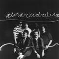 Steve Miller Band
