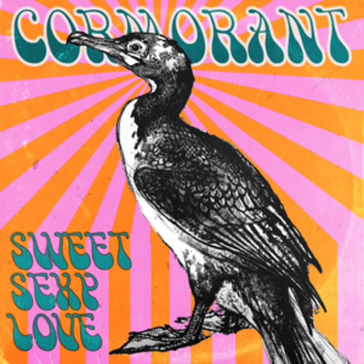 Cormorant