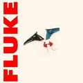 Fluke