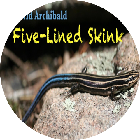 David Archibald