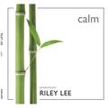 Riley Lee