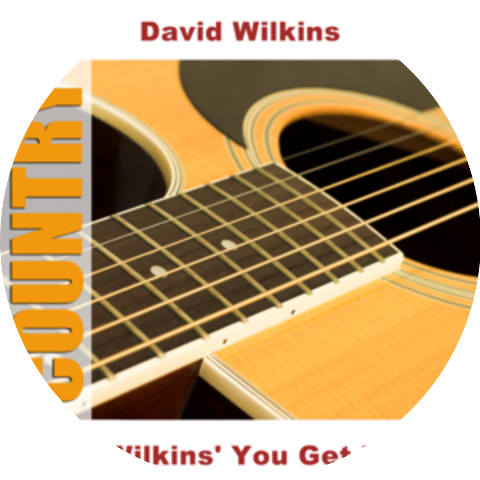 David Wilkins
