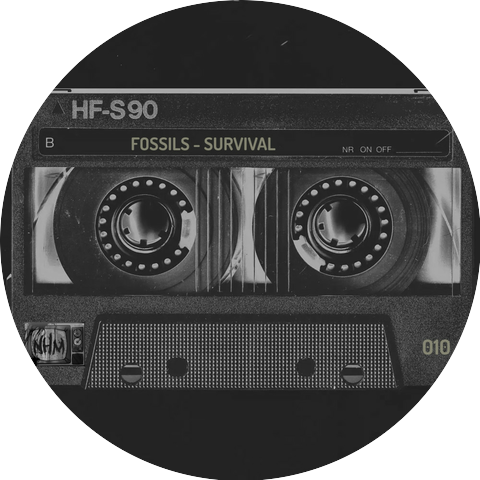 The Fossils