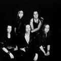 Nocturnal Rites