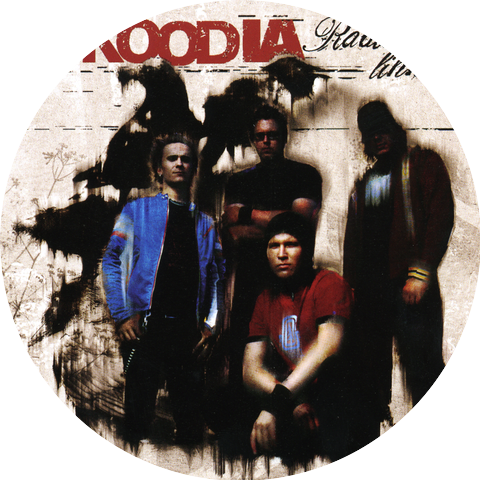 51 Koodia