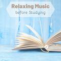 Study Music Group