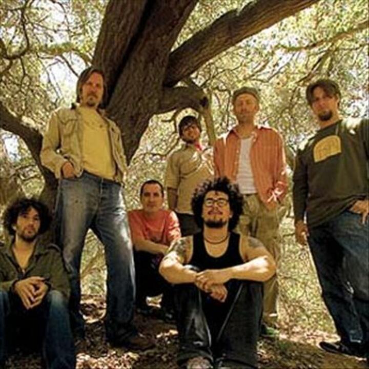 The Lions