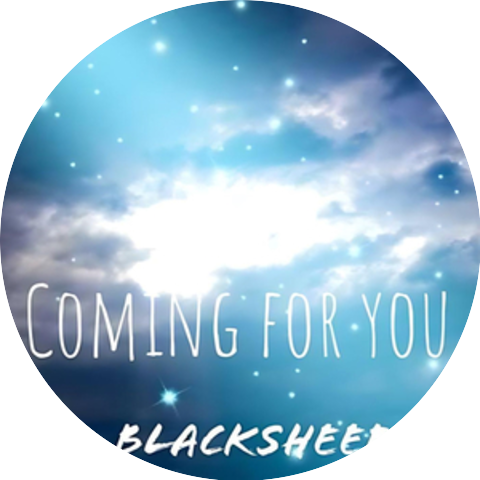 The Blacksheep