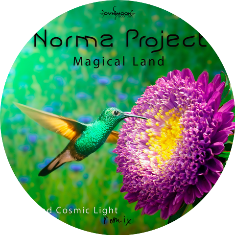 Norma Project