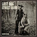 Lost Dog Street Band