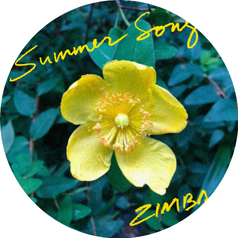 Zımba