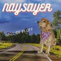 Naysayer