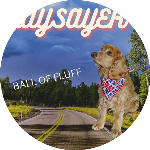 Naysayer