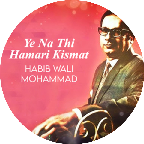 Habib Wali Muhammad